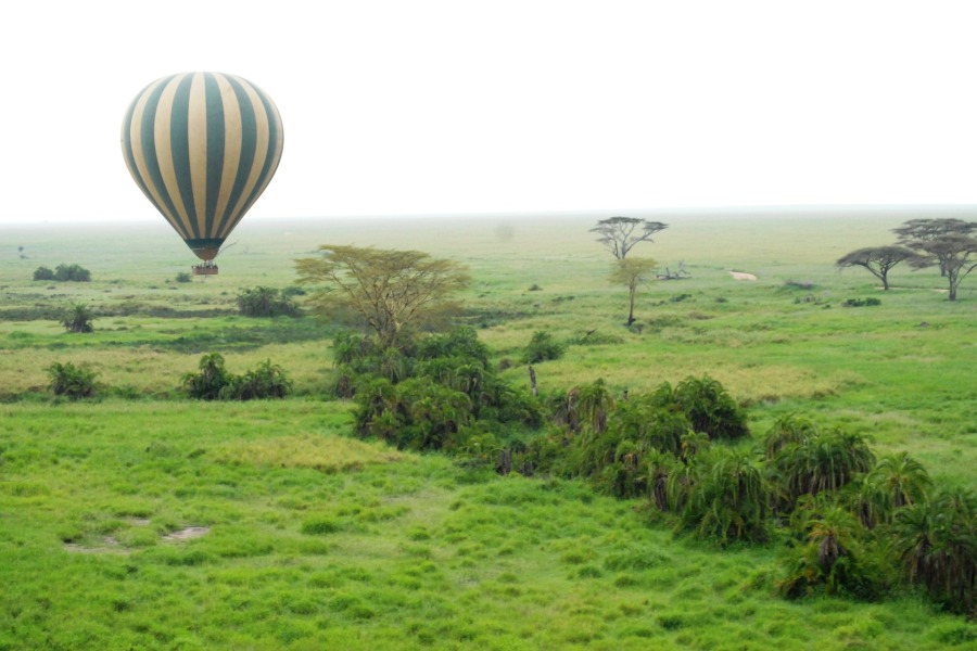 3 Day Serengeti Balloon Safari
