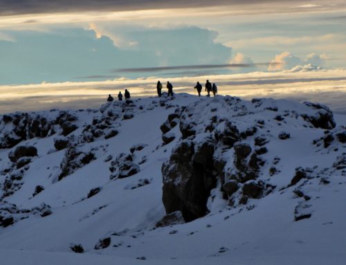 8 Day Kilimanjaro Climb Lemosho Route